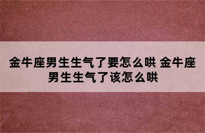 金牛座男生生气了要怎么哄 金牛座男生生气了该怎么哄